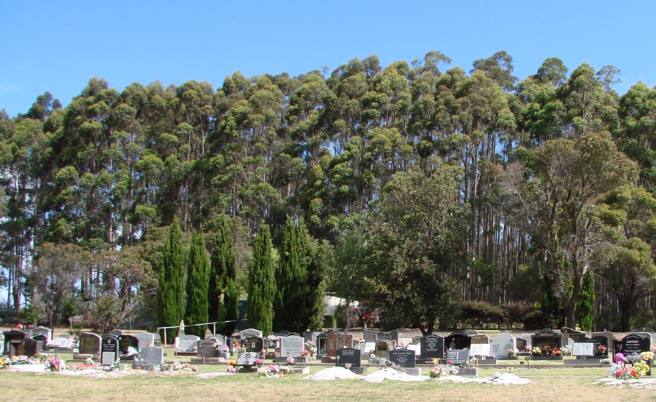 graves at Manjimup lawn cemetery