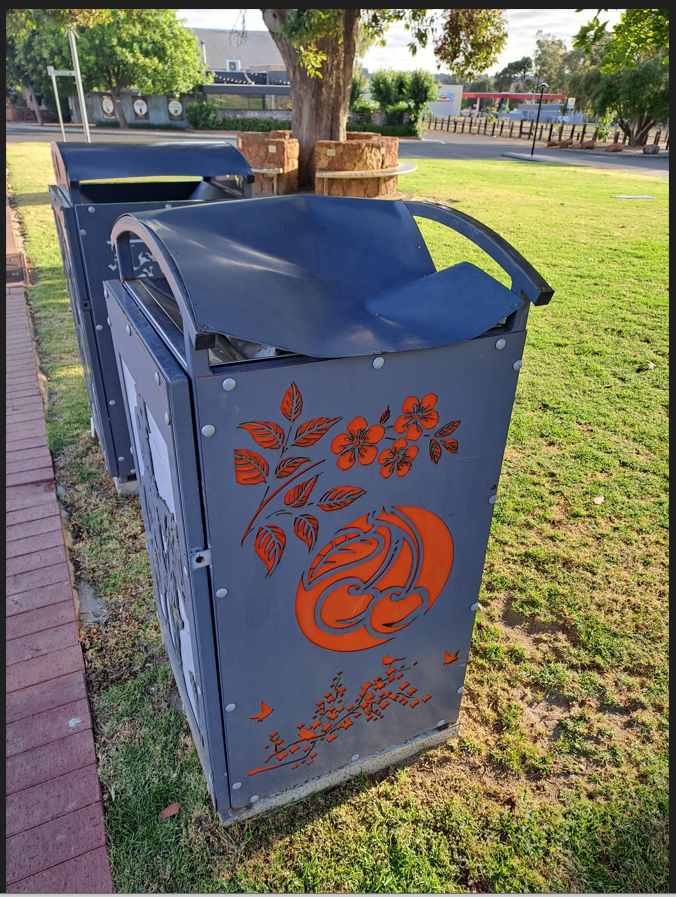 Rubbish bin in Coronantion Park with damaged cover.