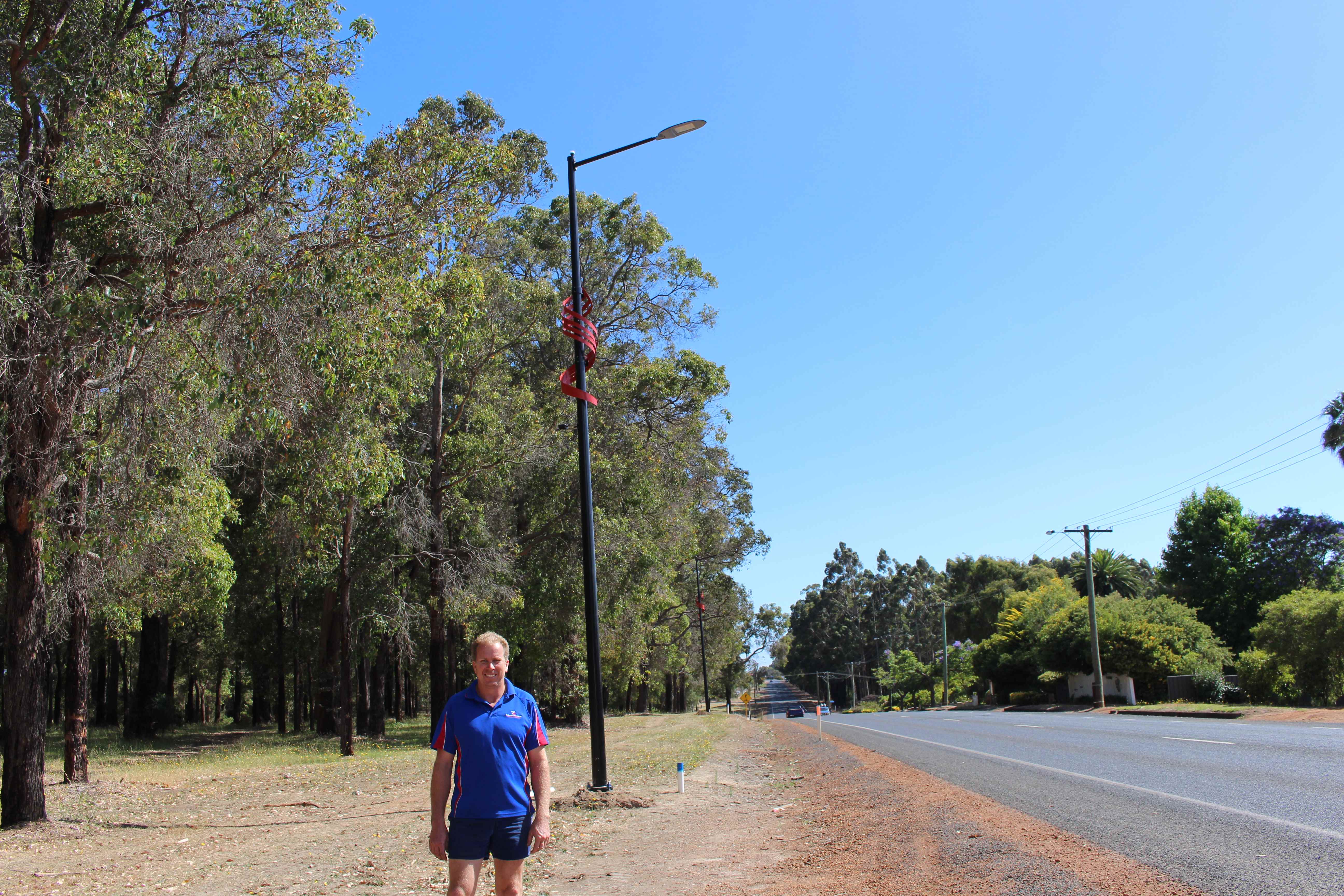 Decorative light pole on Mottram Street 