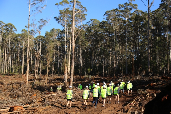 students in forest learning silviculture