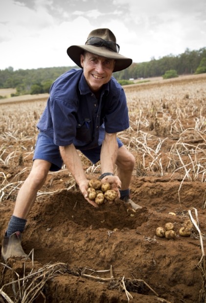 farmer digging potatoes